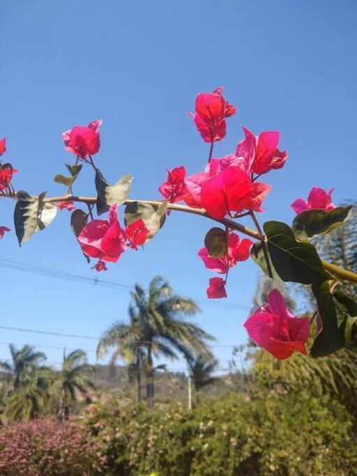 Chalé aconchegante em estância climática Santo Antônio do Leite Extérieur photo