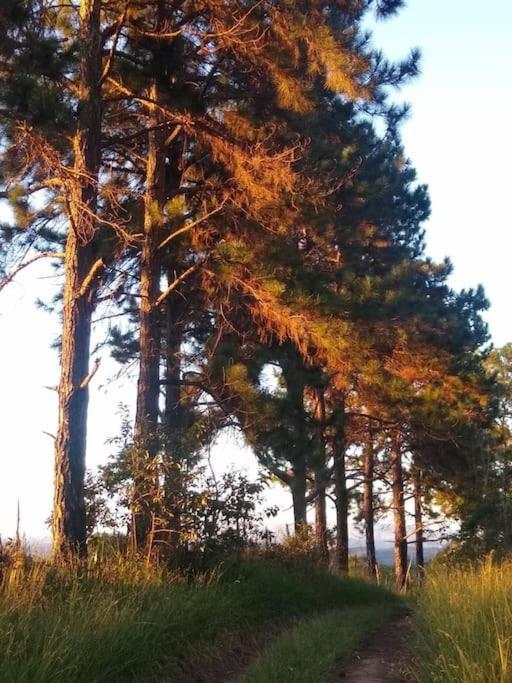 Chalé aconchegante em estância climática Santo Antônio do Leite Extérieur photo